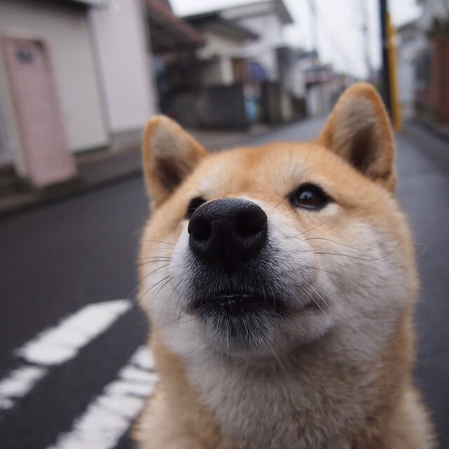 开云官网在线-瑞士男足在巴黎奥运会比赛中以1-0战胜法国，瑞士男足队员