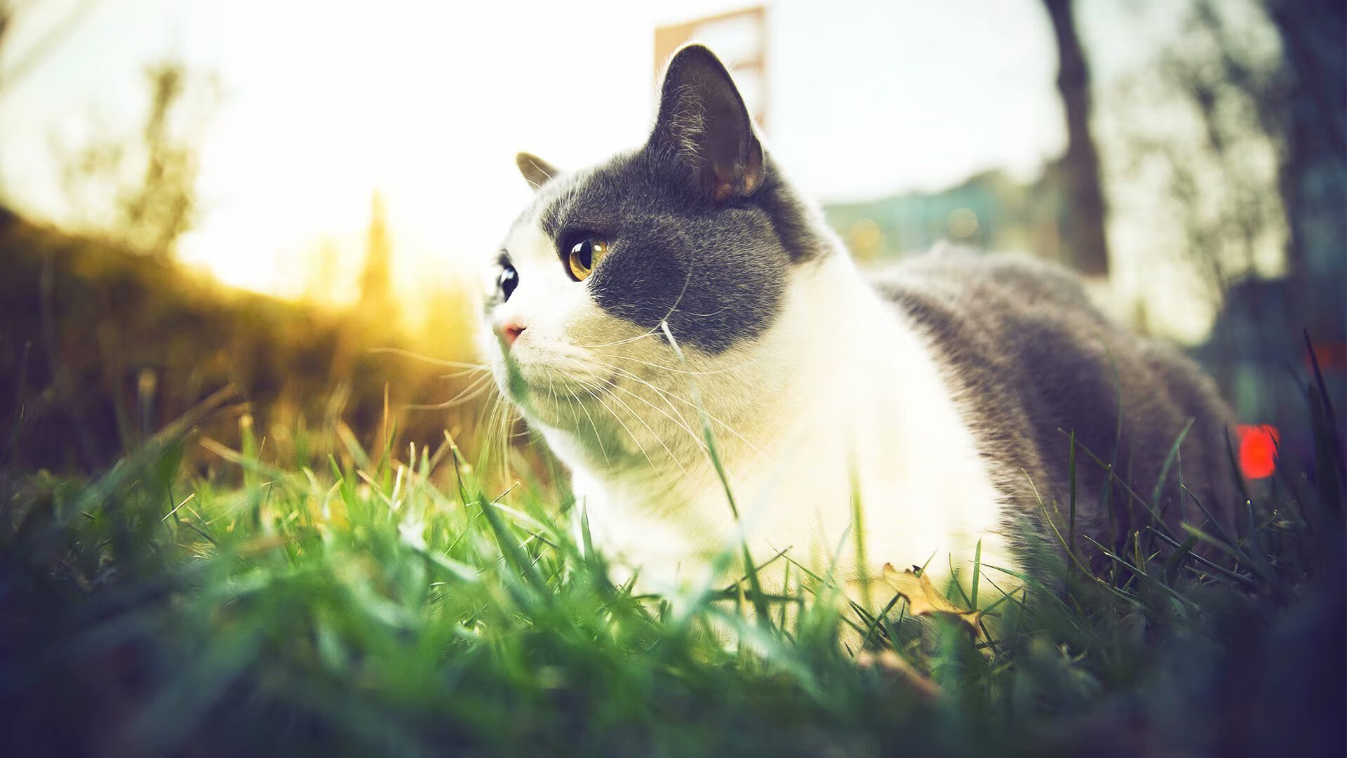 开云体育APP下载-上海上港逐渐回暖，形势趋于稳定，今天上海上港