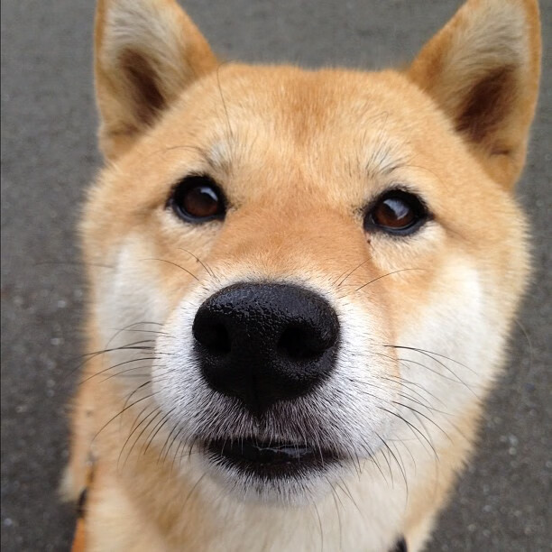 开云入口-亚洲顶级俱乐部加强青训体系建设，亚洲俱乐部冠军联赛