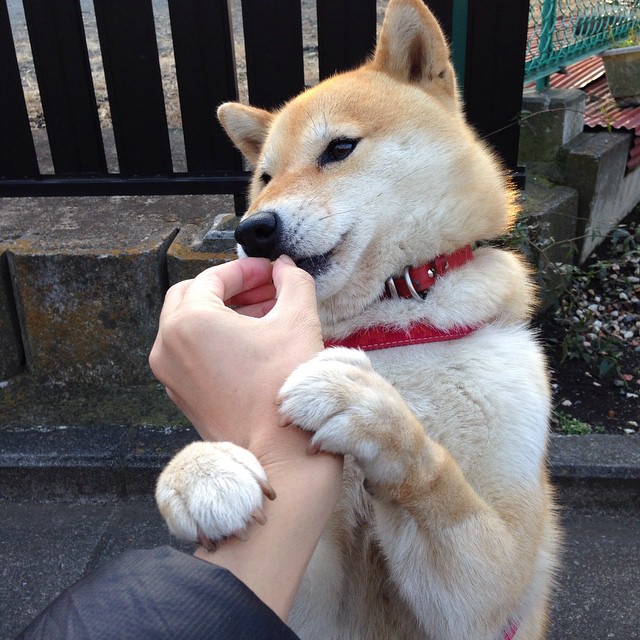 利物浦主帅再次批评裁判判罚政策,利物浦主帅是谁