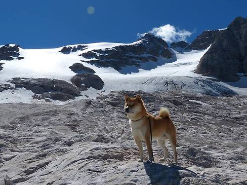 开云·体育官网-勇士马刺对决，强强对话球场上演绝技，马刺 vs 勇士
