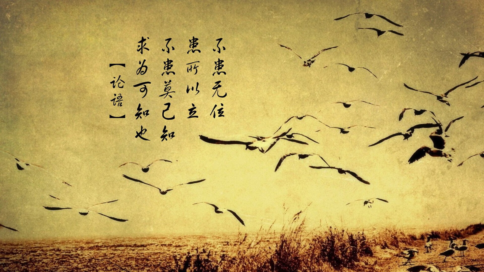 开云-爱尔兰国家队备战欧预赛，全力争胜，爱尔兰欧洲杯2021