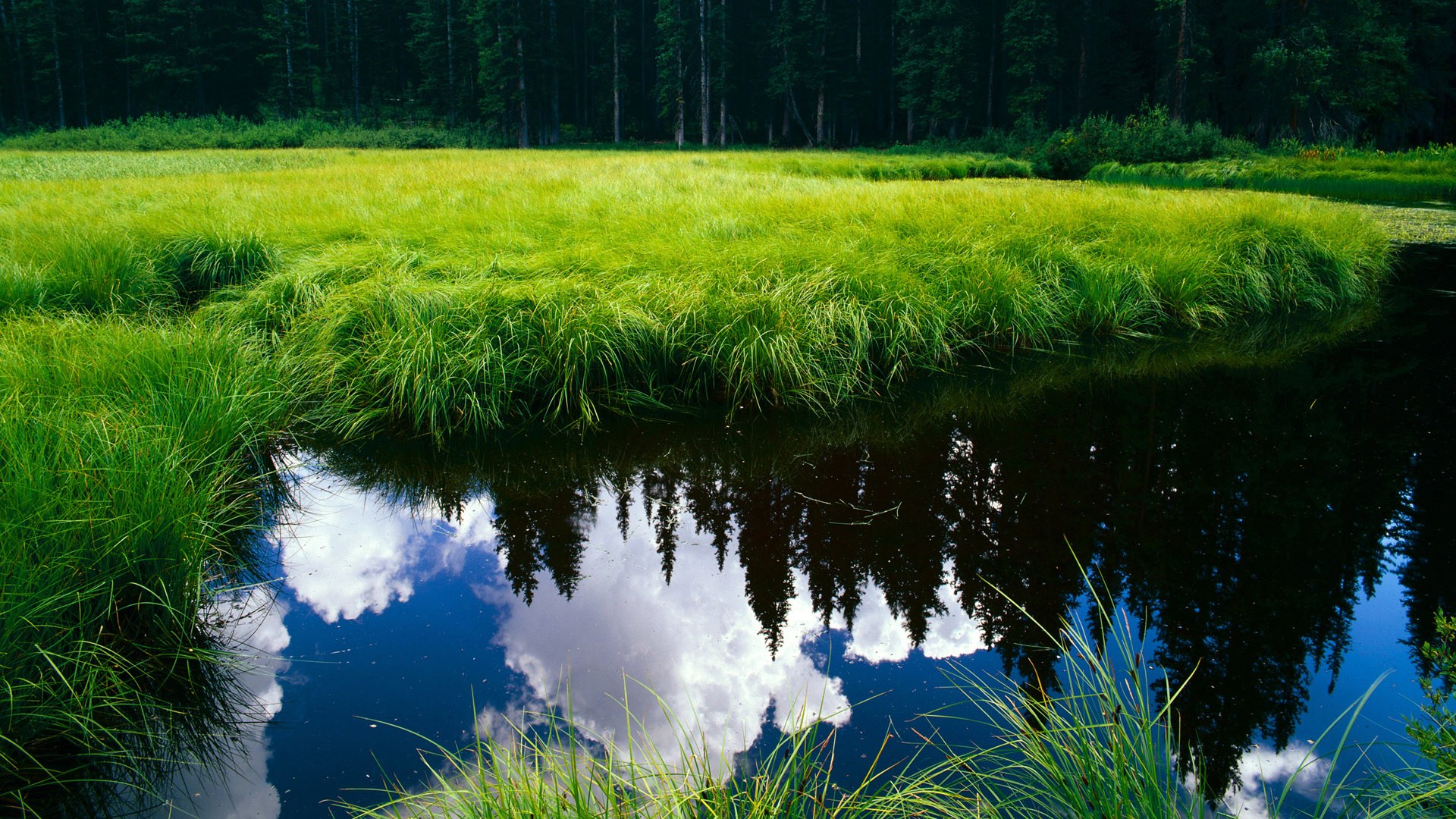 球员转会后比赛适应周期是否应纳入合同条款，球员转会需要球员同意吗