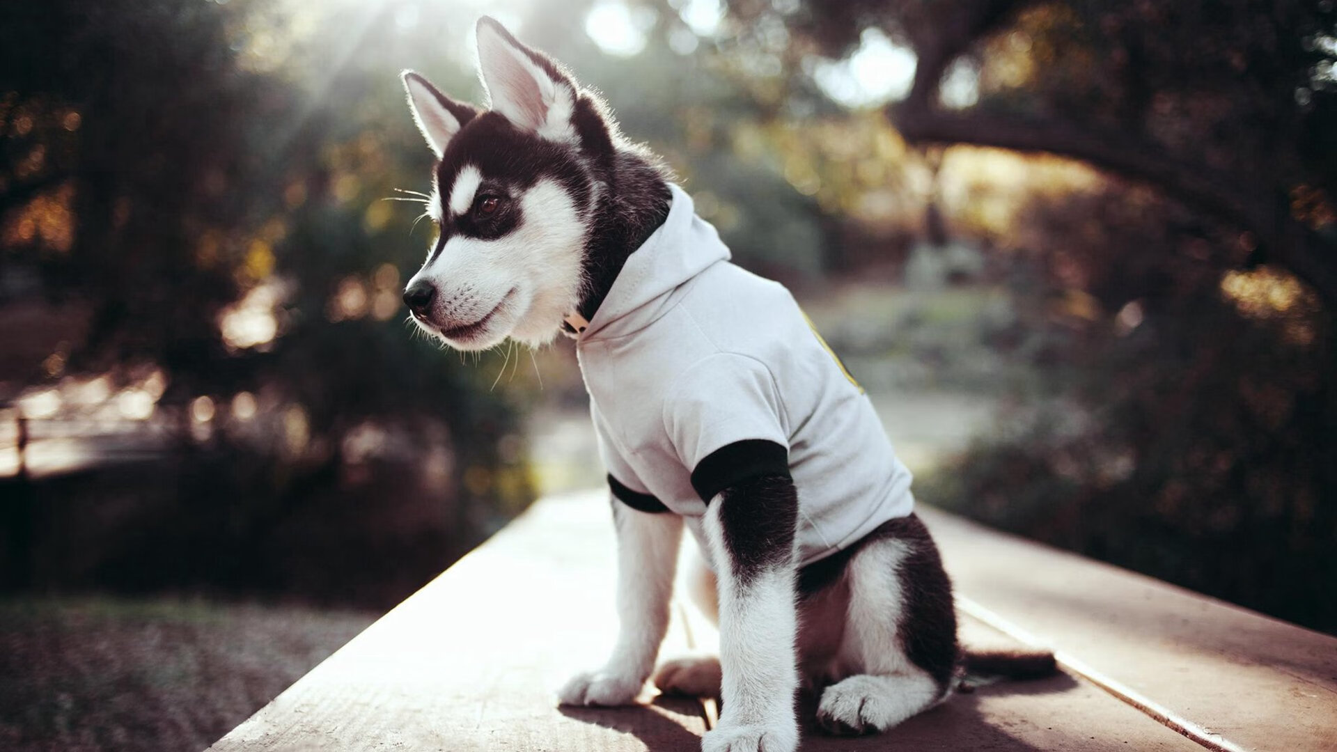 眼界开阔,赛事举办地各异,层出不穷,参加比赛开阔眼界