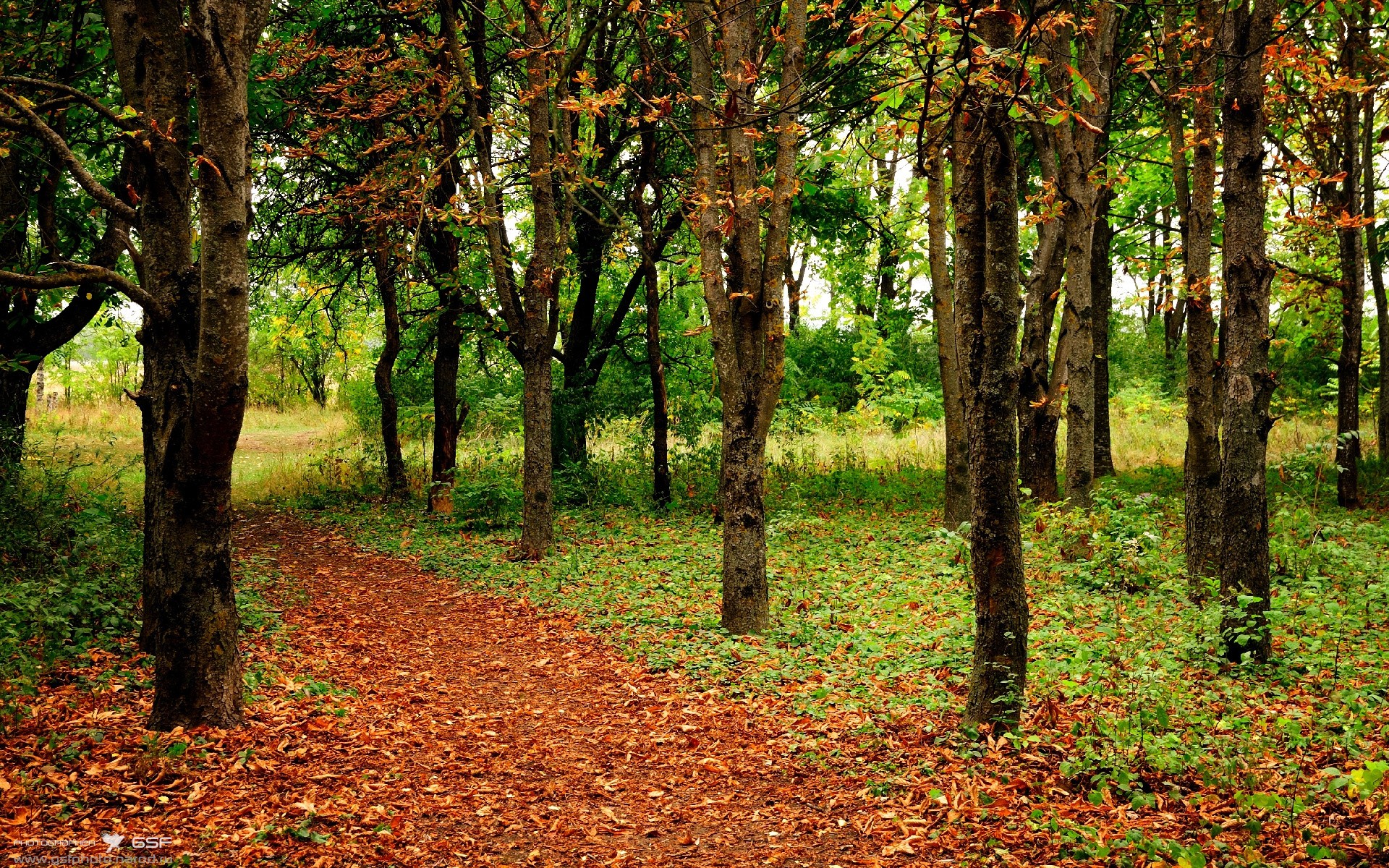维达德卡萨布兰卡备战非洲冠军联赛,目标夺冠,大伟卡萨布兰卡