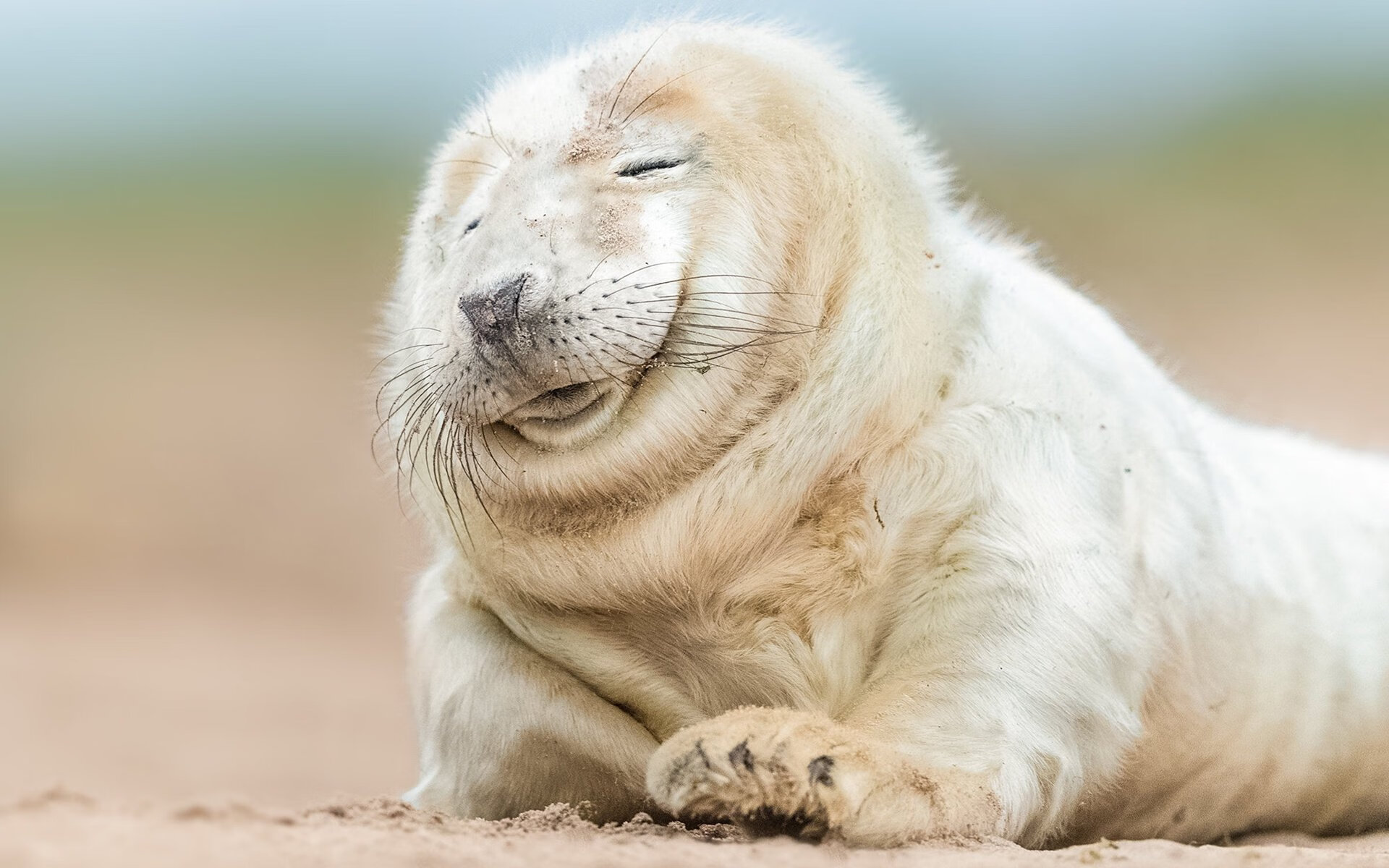 开云体育网页版入口-莱斯特城主帅布伦丹·罗杰斯：目标稳固英超地位，布伦特福德vs莱斯特城比分预测