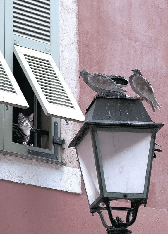 开云·Kaiyun网页版-萨拉赫本赛季英超进球数破30，助攻榜领跑，萨拉赫英超金靴