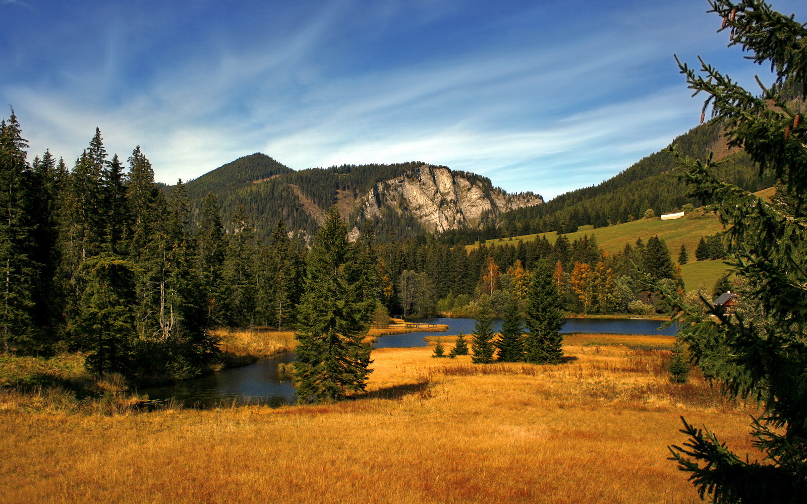 遭遇连败的凯尔特人队,如何突围已成焦点,凯尔特人队最新阵容名单