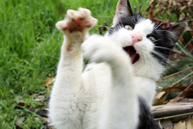 开云APP-齐达内坚称球队雄心不变，冠军只争朝夕，齐达内执教球队