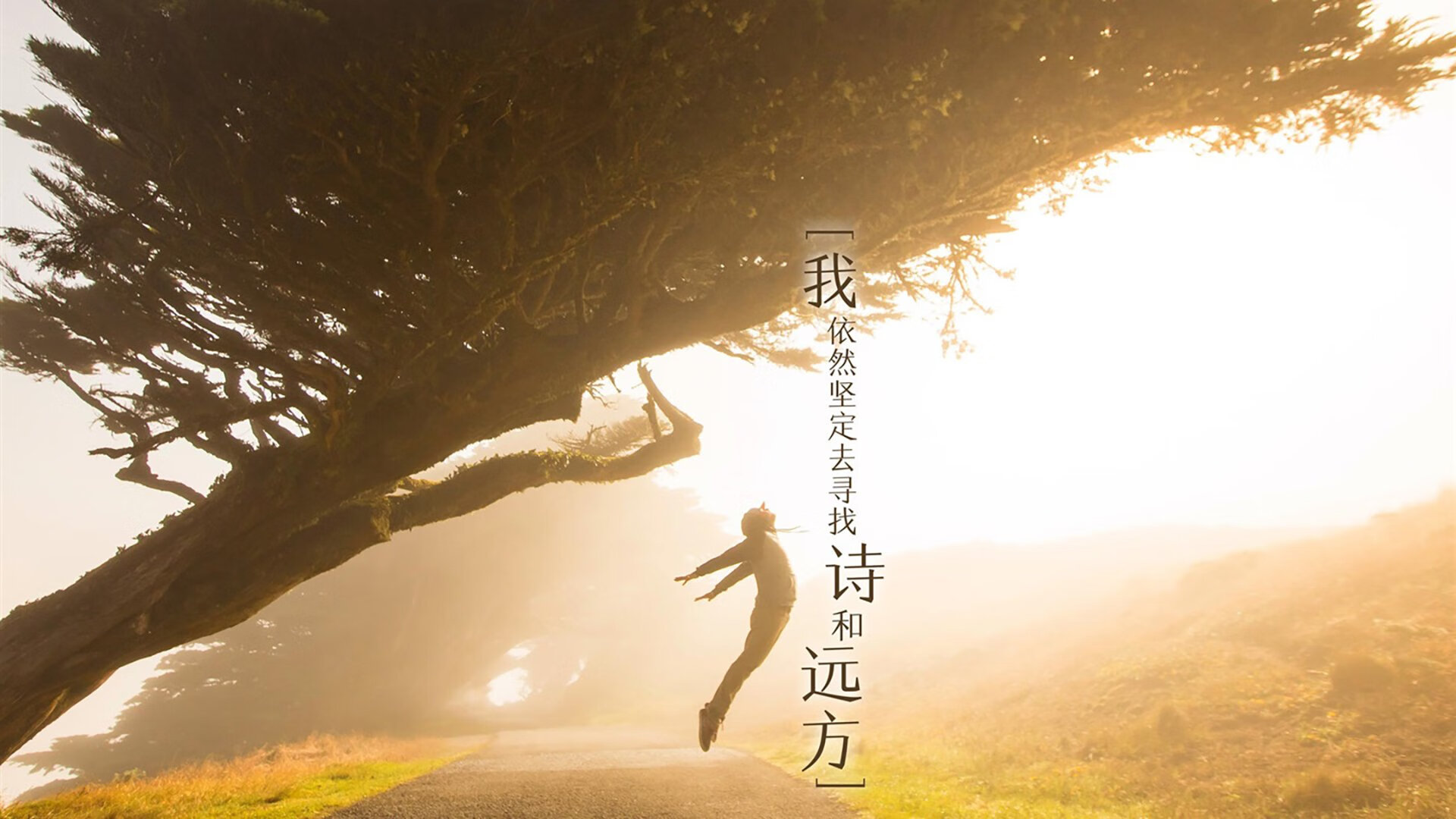 中国篮球教练员教学方法现代化改革与实践探索,全国篮球教练员岗位培训