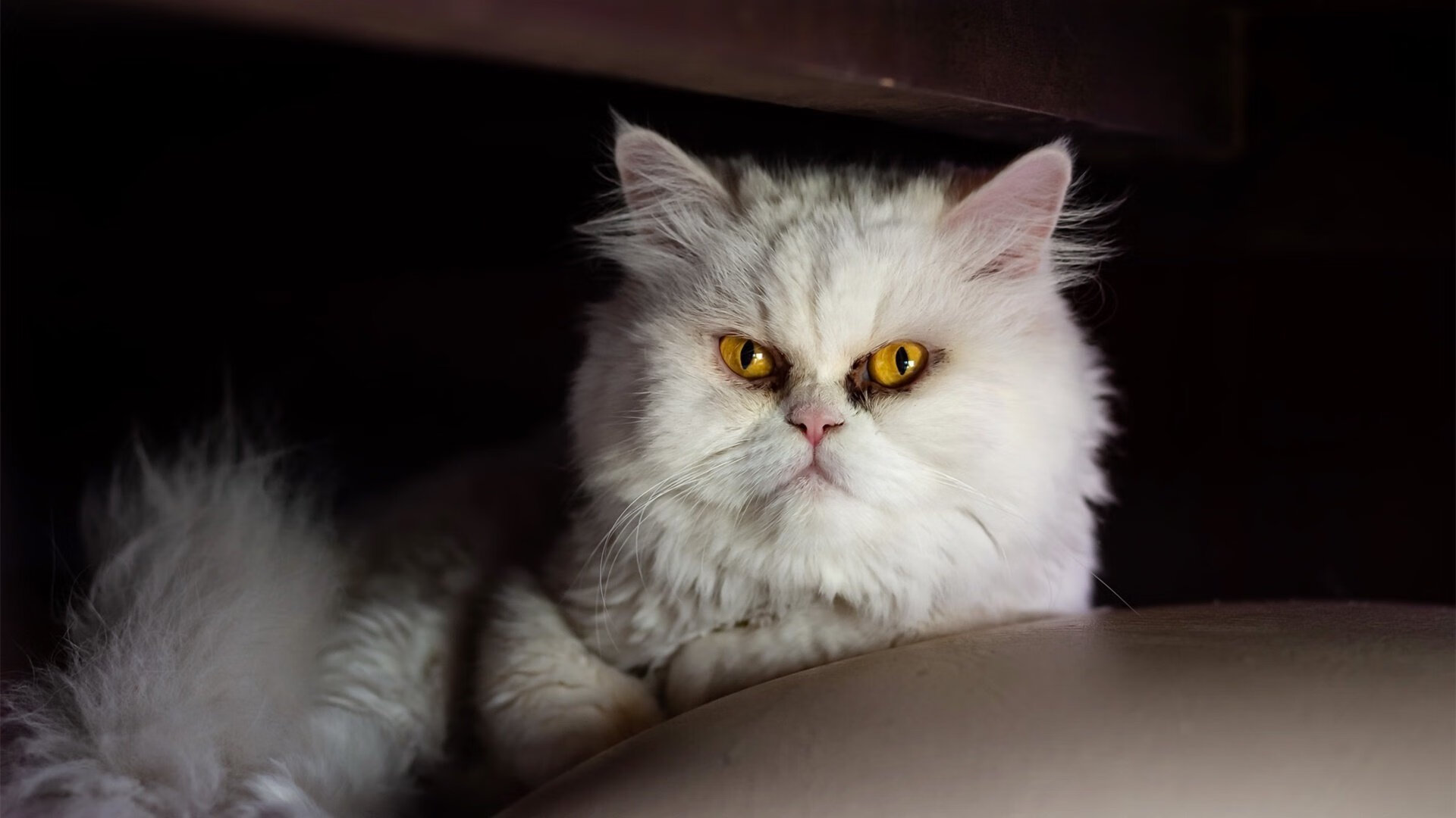 开云官方网页登录-3×3 球队年轻阵容展现高竞争潜力，2020足球年轻球员最佳阵容