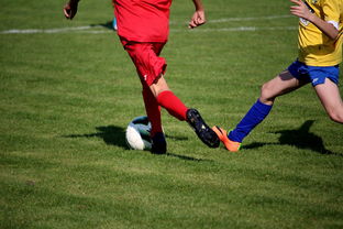 开云入口-国家队与俱乐部之间协调机制为何不顺畅，国家队比赛和俱乐部比赛冲突