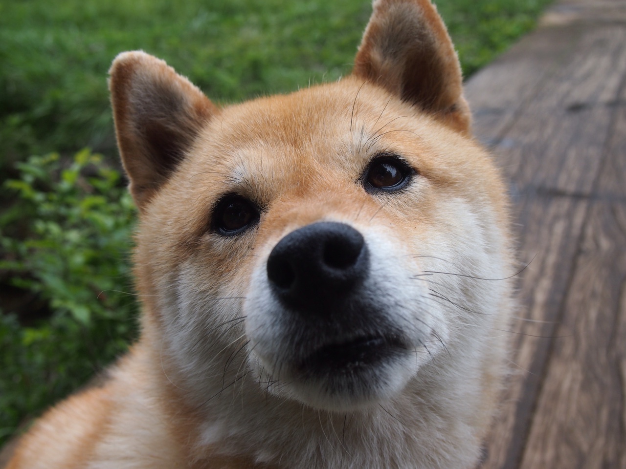 场上配合意识决定整体打法效率，配合意识是什么意思