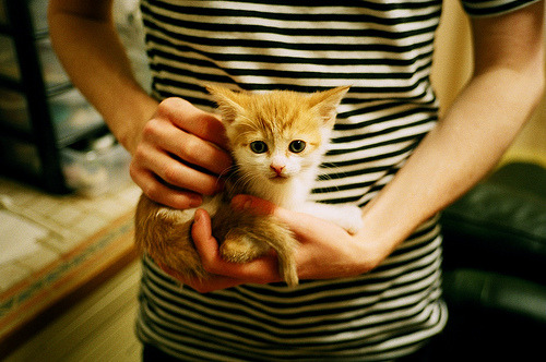 开云网页版登录入口-足球青训基地扩建推进区域梯队整合，足球青训梯队试训