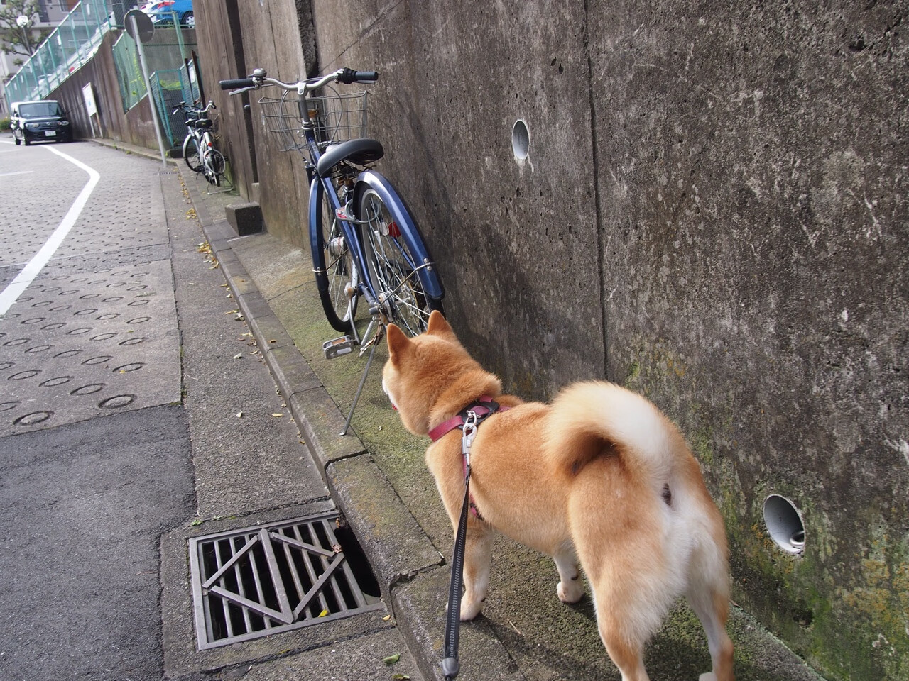 世界杯令人振奋的精彩瞬间:英雄本色!,世界杯英雄情况