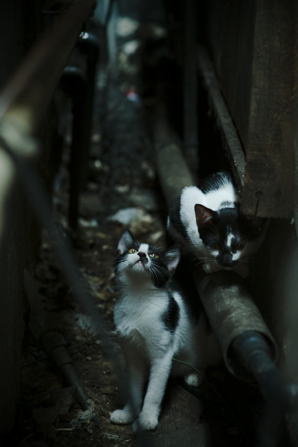 俱乐部年报公布财务状况良好赞助与赛事收入同步增长,俱乐部经费