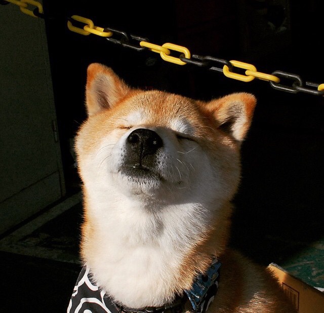 图穆亚的突破技巧与精准长传,带领袋鼠队走向成功,穆图什么水平