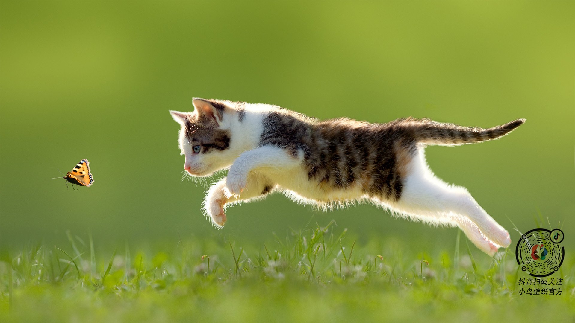 Kaiyun APP-法甲光辉夜：细节成就胜利故事，光辉之甲效果