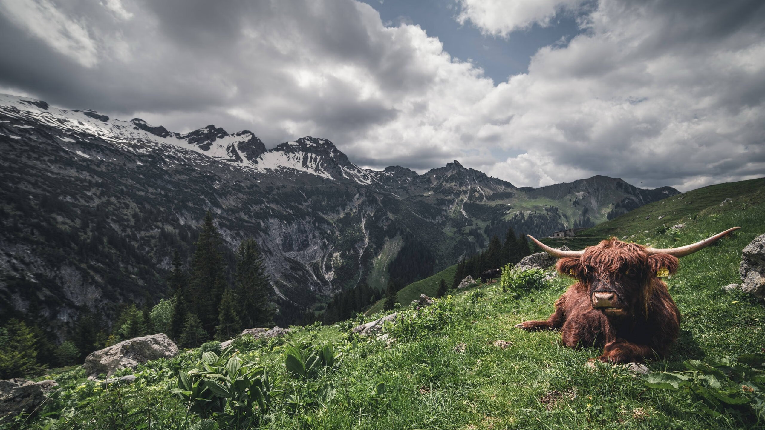 开云官网在线-热火训练营现场气氛紧张队员全情投入，热火试训