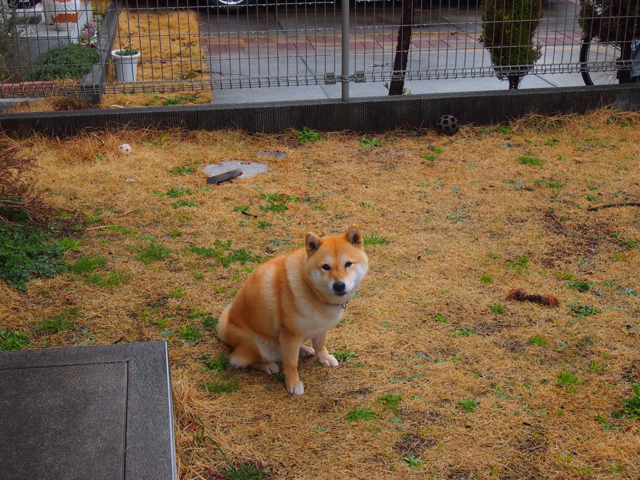 开云·体育官方网站入口-职业球队设立母队制度青训与职业无缝衔接，球队母队是什么意思